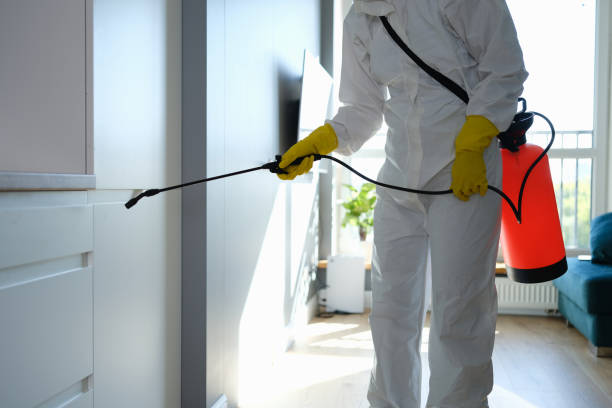 Best DIY Mold Remediation Support Services in West Hills, PA